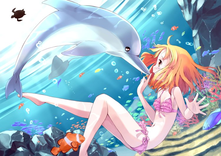 Anime girl Dolphin