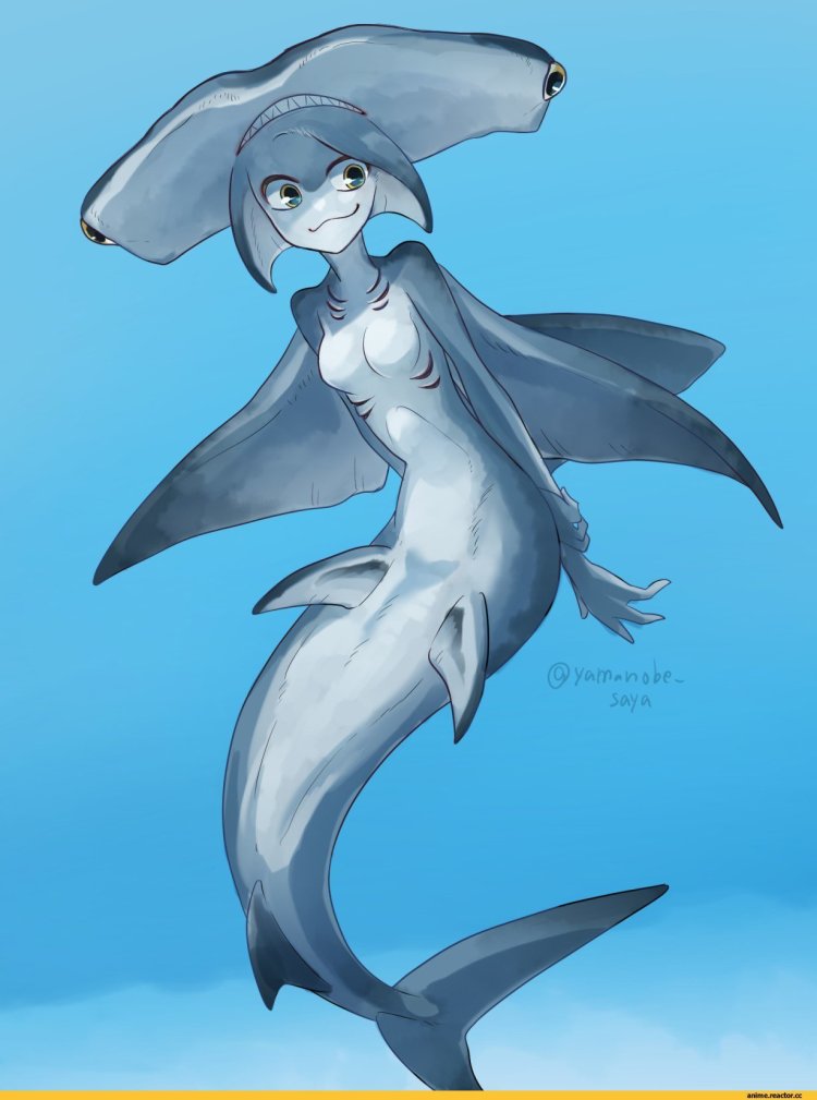 Shark humanization anime