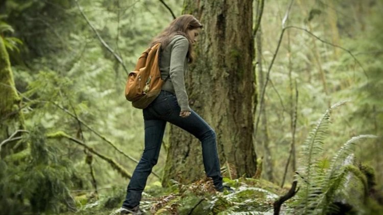 Bella Swan backpack