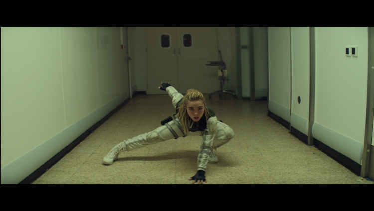 Black Widow Horror 2008