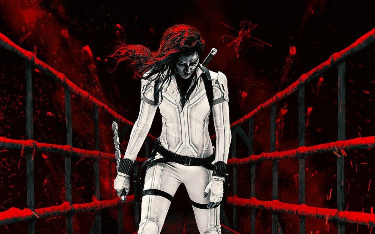 Elizabeth Bondarenko