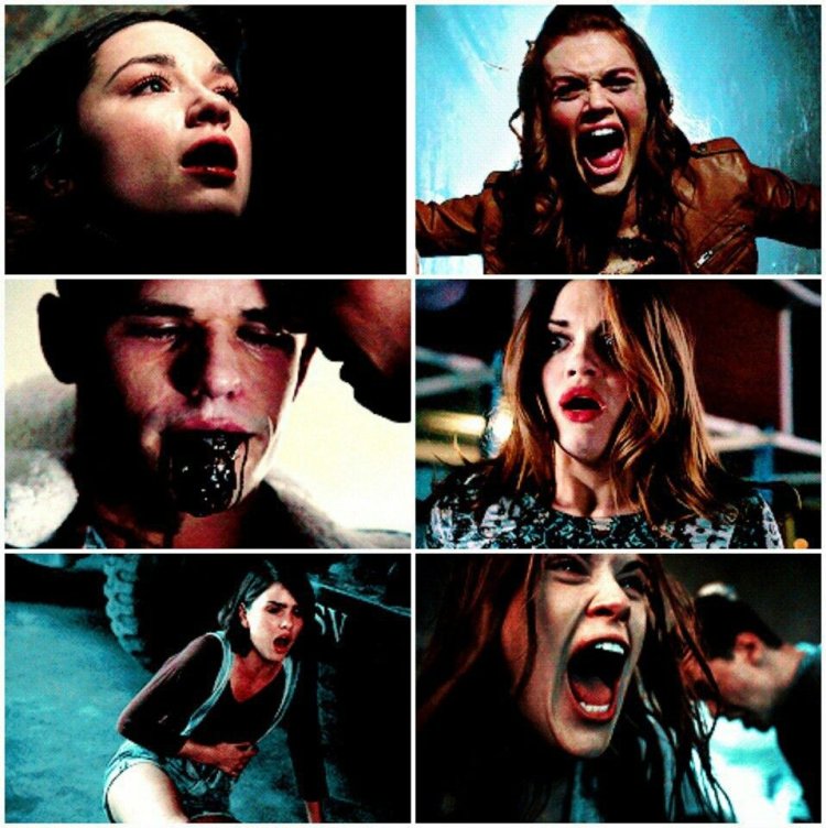 Wolf cub Lydia the werewolf