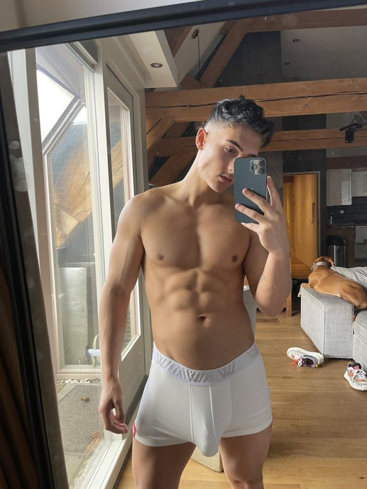 Levy van Wilgen model