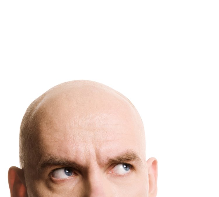 Head of a bald man