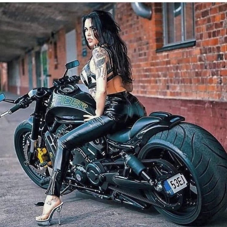 Female harley davidson motorcycle