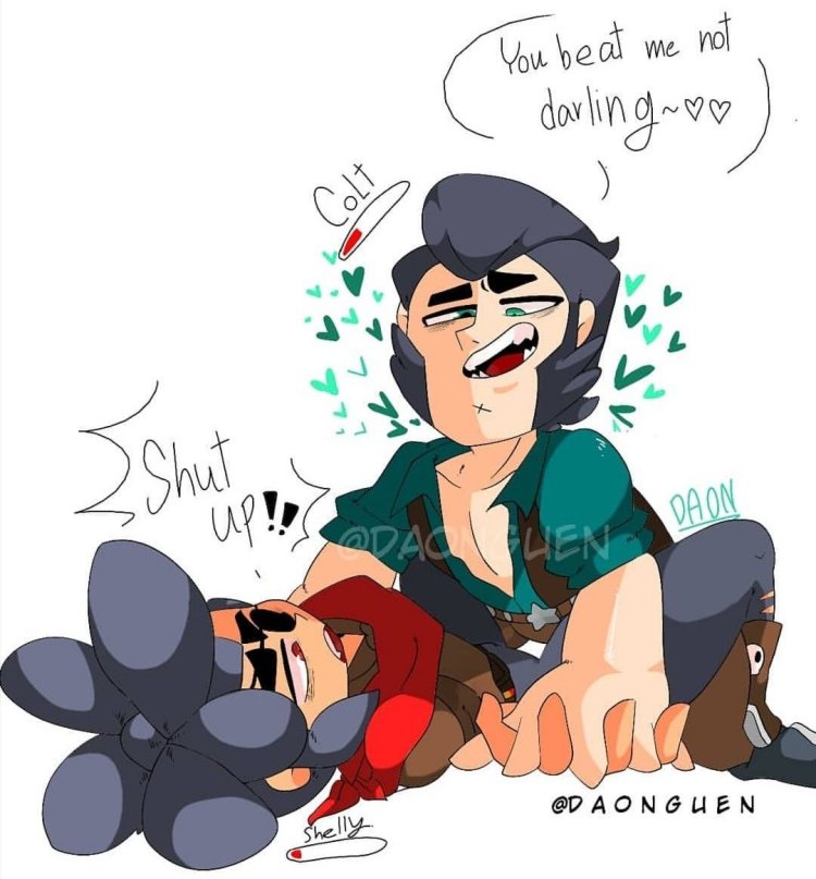 Colt x Shelly x bull