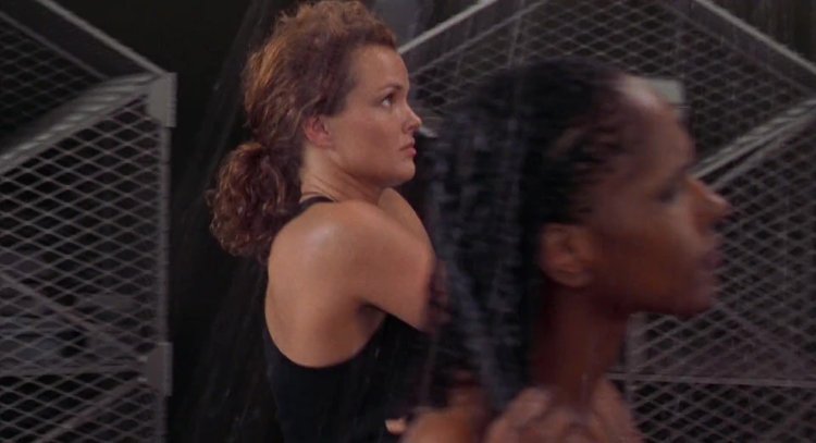 Dina Meyer Star landing