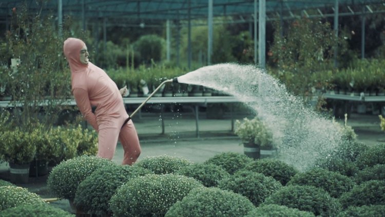 Dead by Daylight Susie and Julie