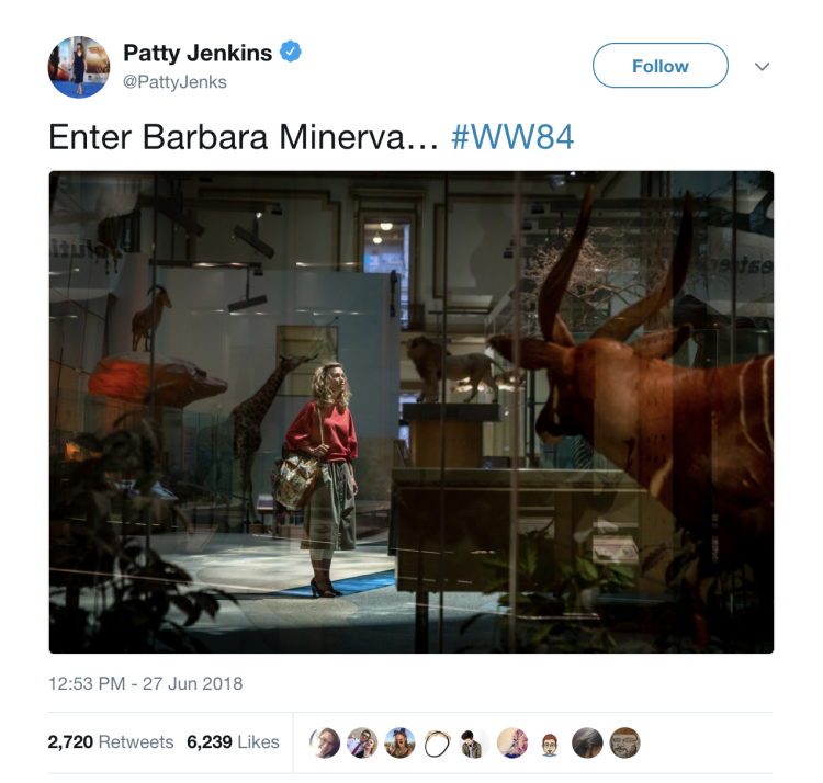 WW84 Barbara Minerva
