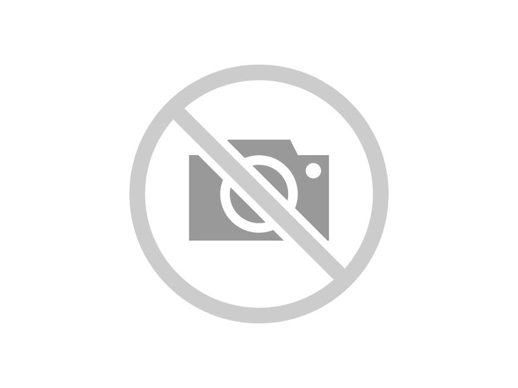 Sawport Remquarter Nissin FS001