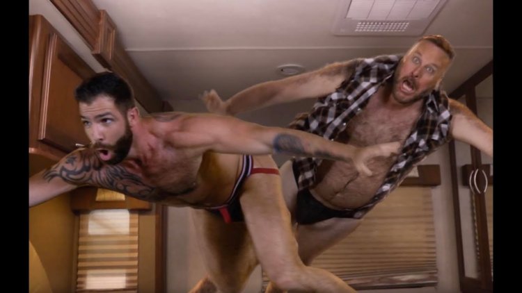 What the bears actors