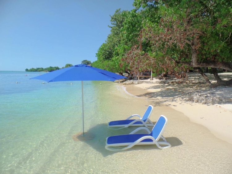 The Hotel Hotel Hotonism