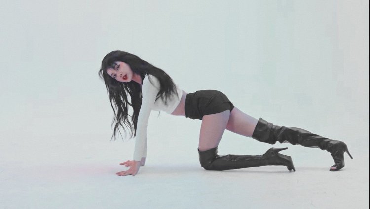 Fox Black Pink dances