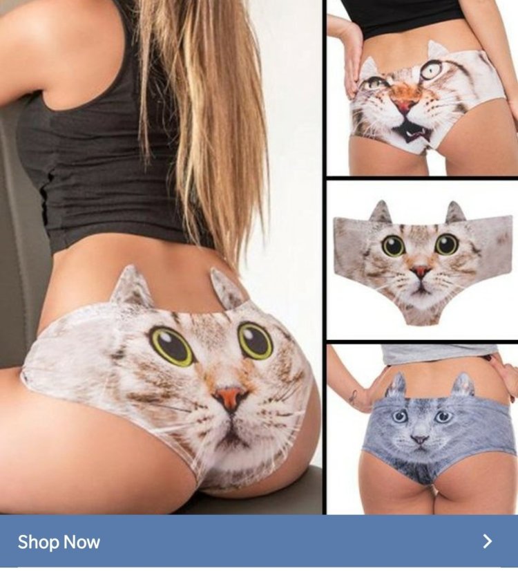 Panties with cats female