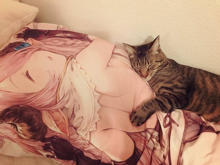 Anime cat Pillow