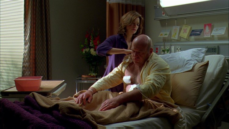 Anna Gunn Hot Breaking Bad