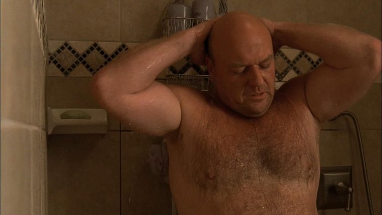 Michael Chiplis and Dean Norris