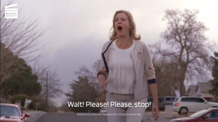 Walter White and Skyler with money