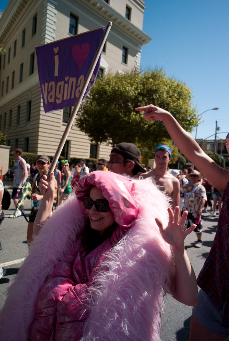 FELT 2014 FARTS OF VAGINA