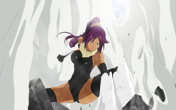 Yoruichi Shikhouin anime
