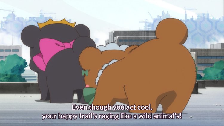 Anime Bear Boits Yuri