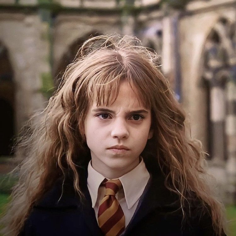 Hermione Granger Secret Room