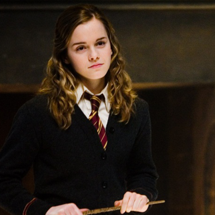 Hermione Granger Harry Potter Harry Potter Harry Potter