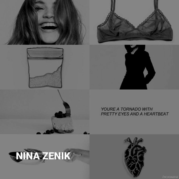 Aesthetic Nina Zenik