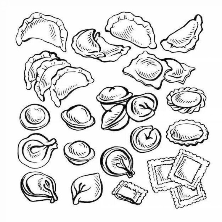 Dumplings of dumplings semi -finished vector