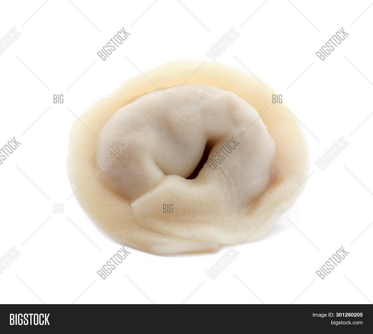 Dumplings on a white background