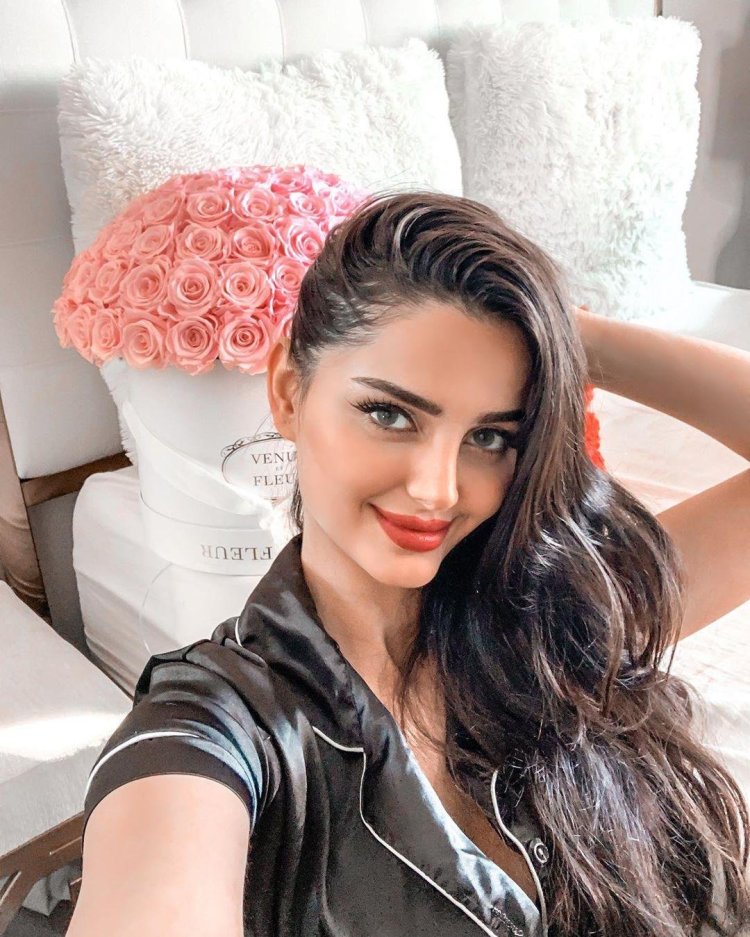 Makhlag Jaberi Model