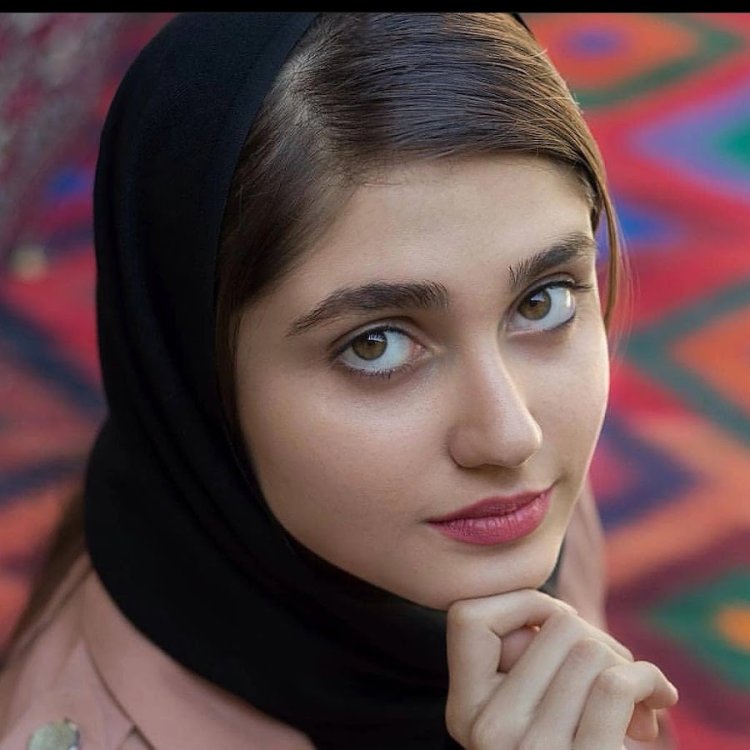 Shermin Shakhrivar model