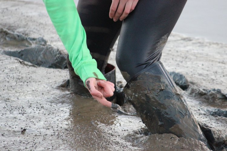 Aigle Riding Boots in Mud