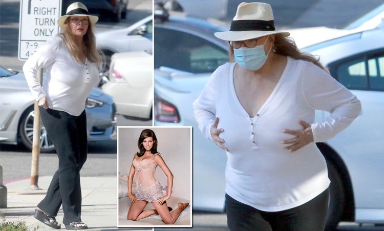 Rakel Welch plastic surgery