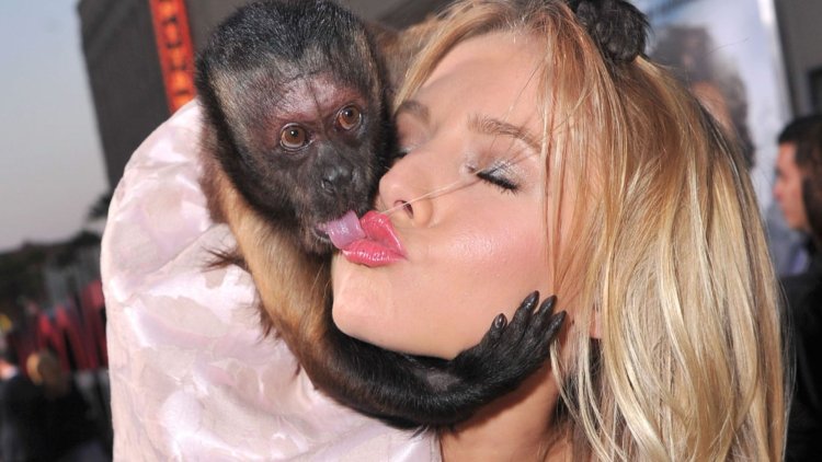 The girl kisses input