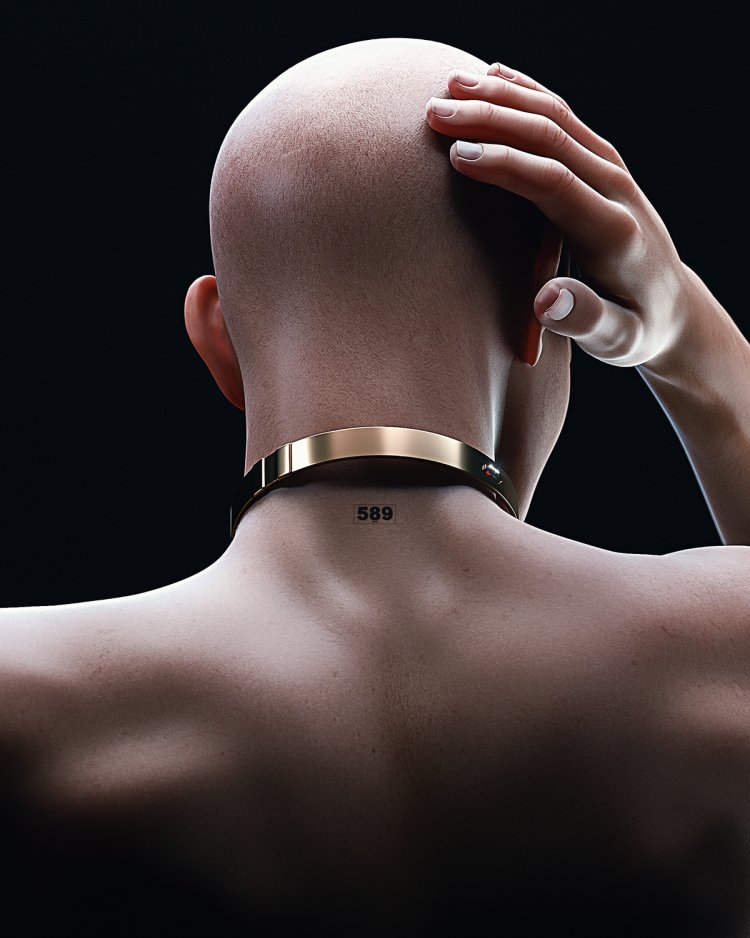 3D BALD SLAVE GILL Experiment is small