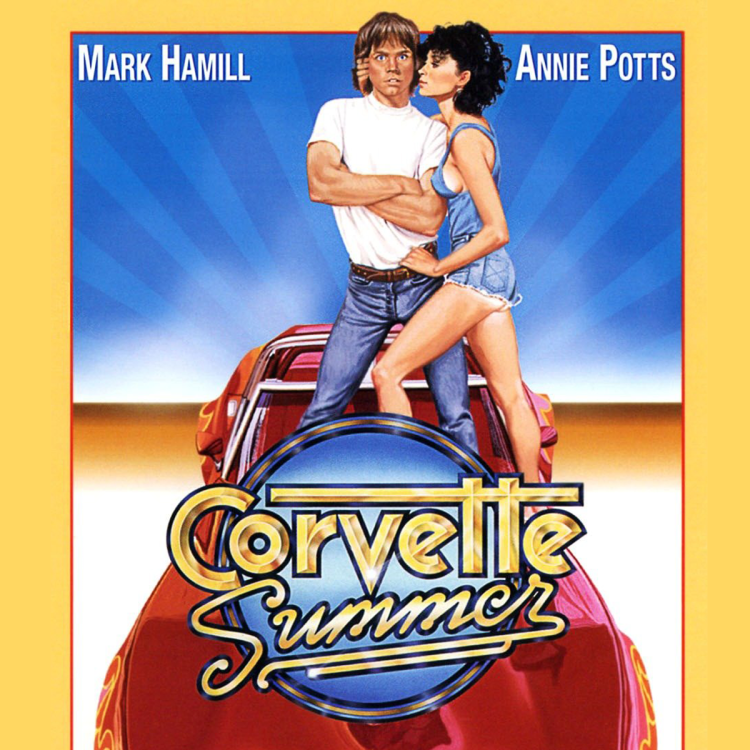 Corvette Summer 1978 poster poster