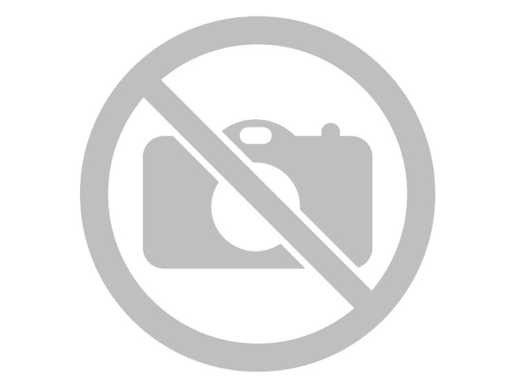 Miniature Asian Selfie