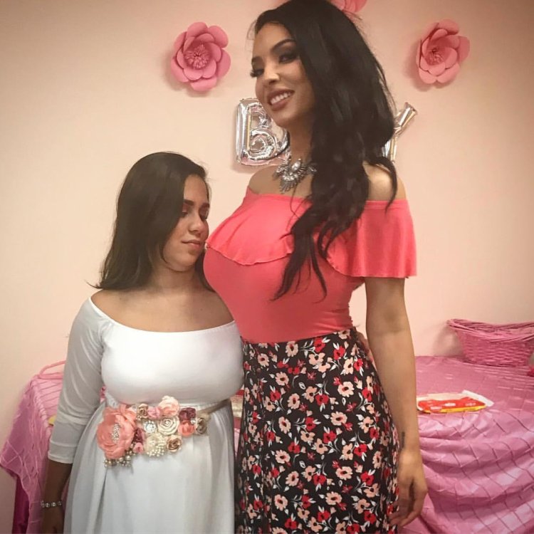 Roadkill Cartoon 2019