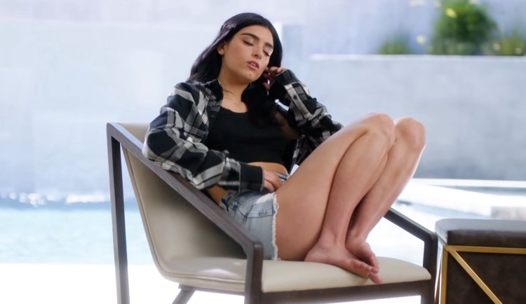 Charlie Damelio Pluta