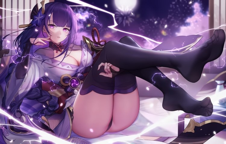 Genshin Rayden Pantsu