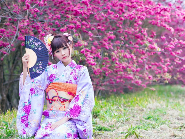 Furisode Kimono Sakura