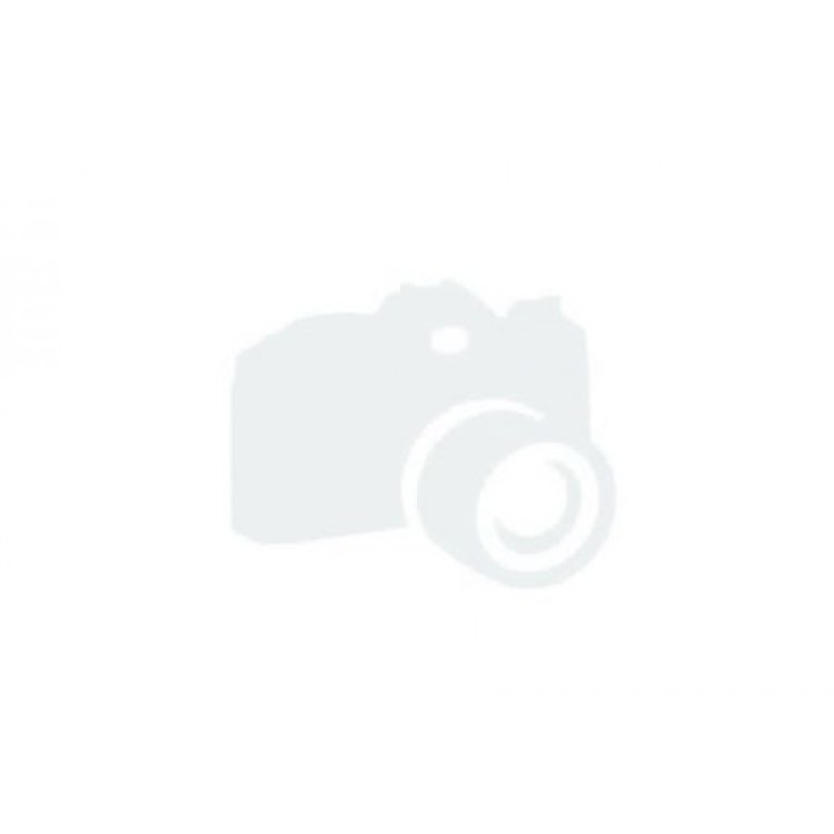 Bonnie Bainbridge Cohen