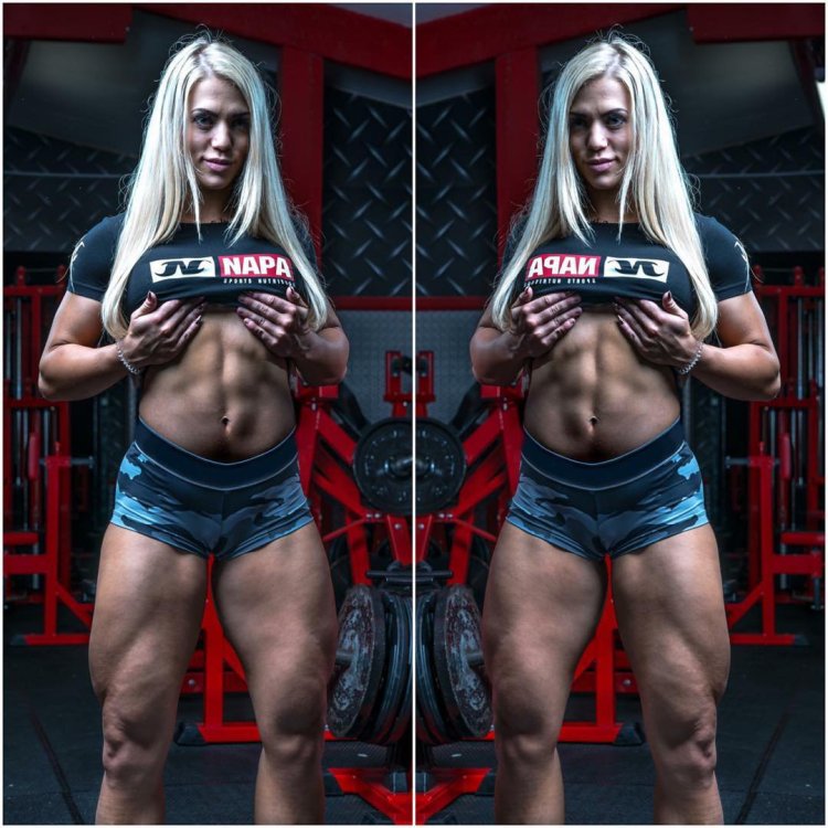 Britains Hart Fighter