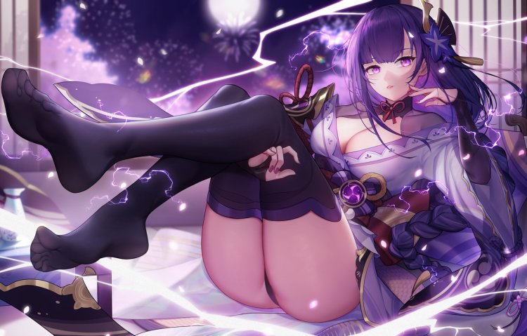 Genshin Rayden Pantsu