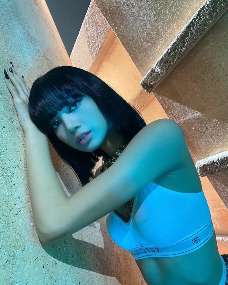 Fox Black Pink 2020 with short haircut