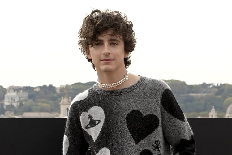 Bob Dylan Timothy Shalame