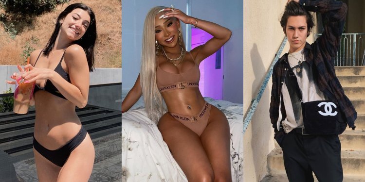 Charlie Damelio Pluta