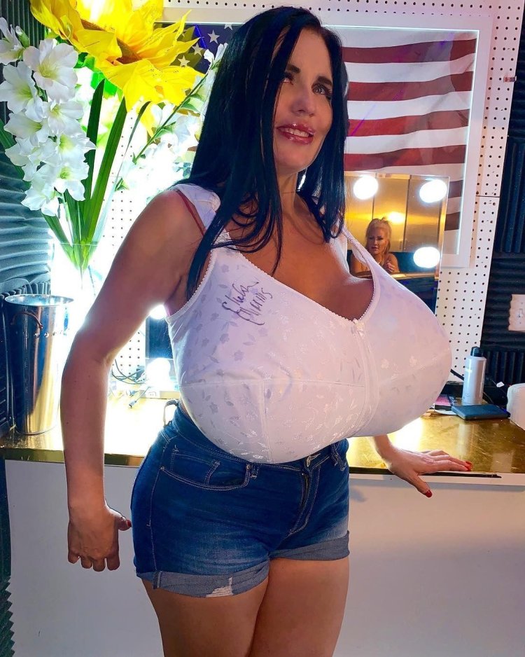 Foxy Menagerie Verre