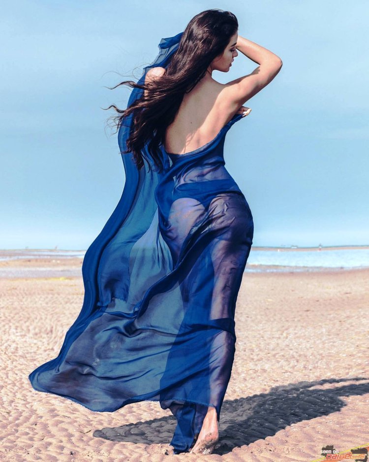 Elena Berlato Onlifaes